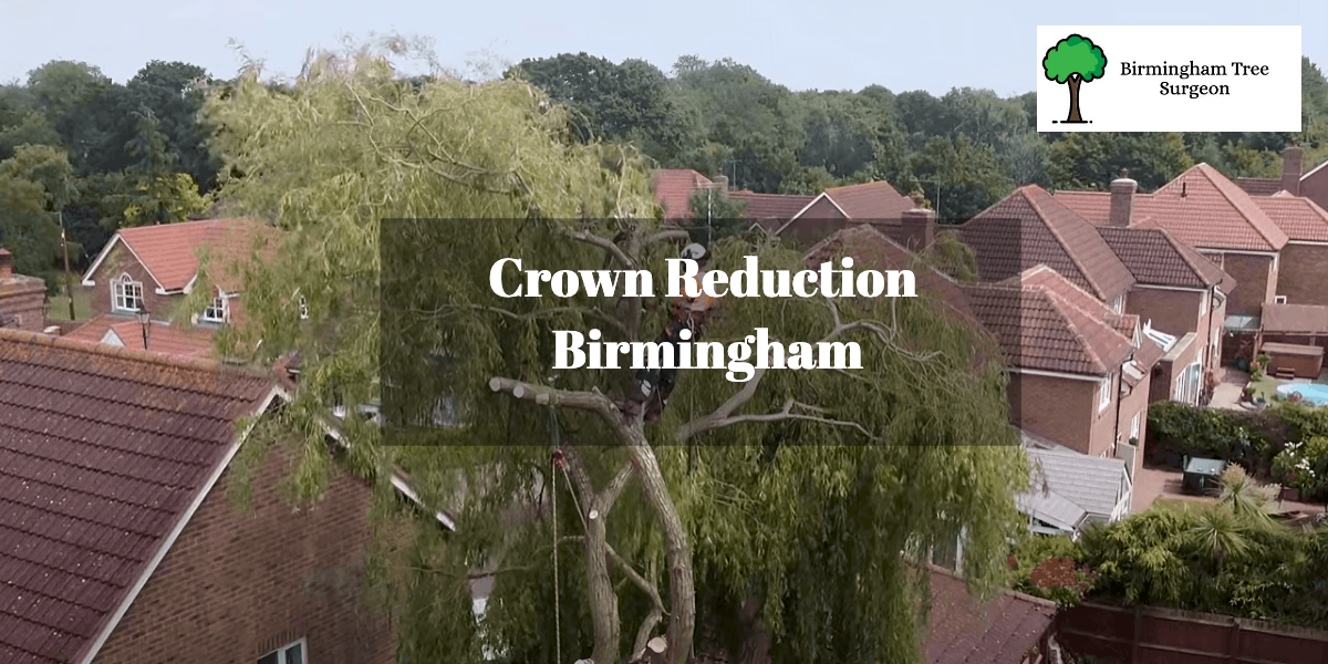 Crown Reduction Birmingham