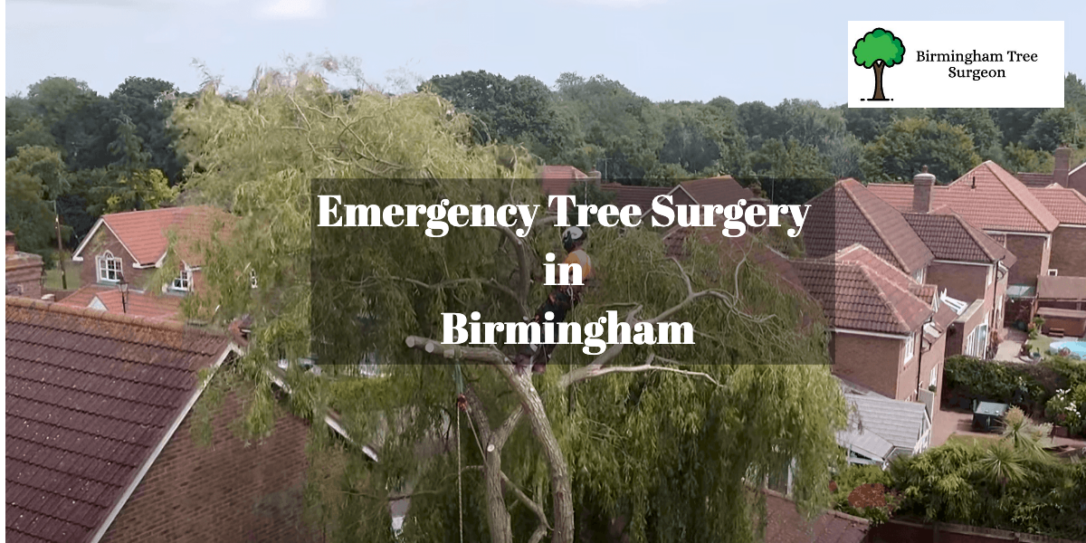 Emergency Tree Surgery in Birmingham