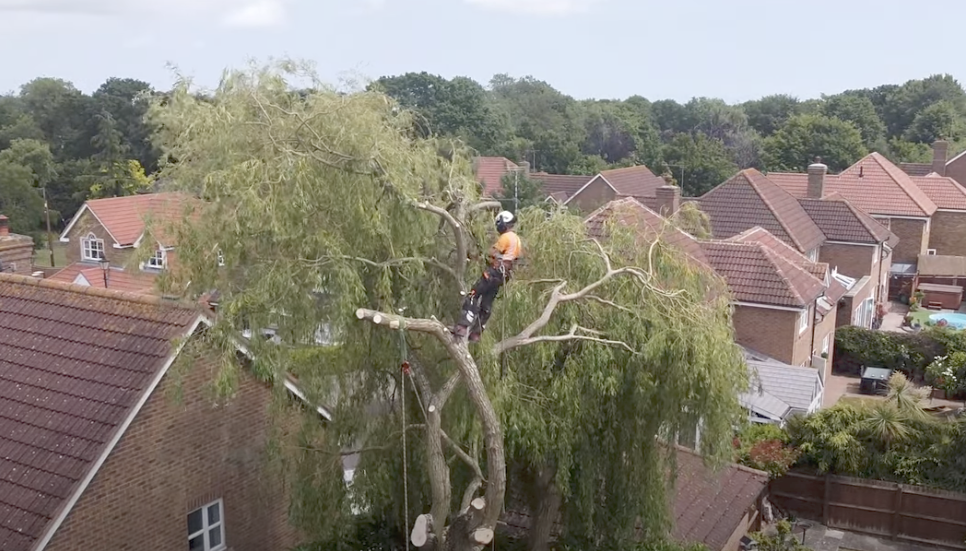 Tree Trimming Birmingham