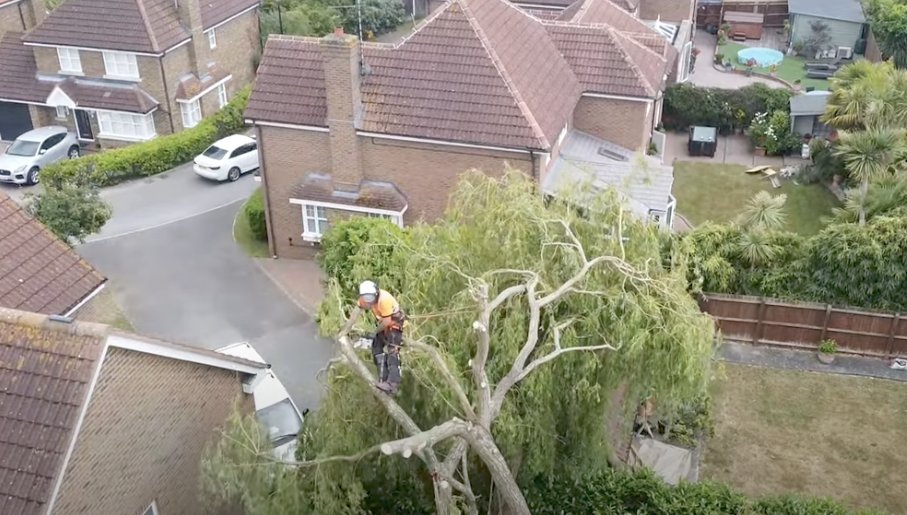 Emergency Tree Surgery in Birmingham