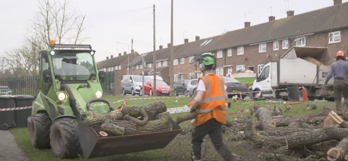 Tree Surgeon Walsall