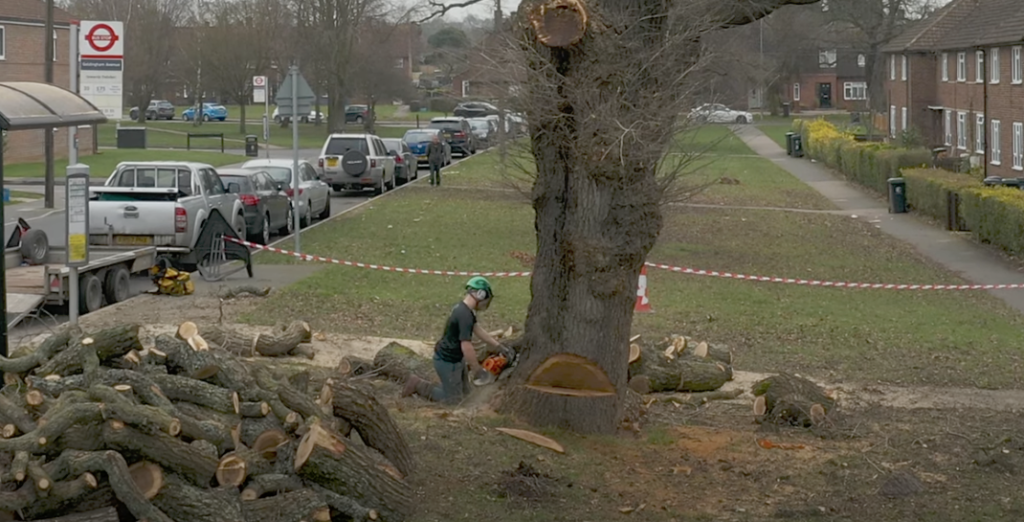 Tree Cutting Birmingham