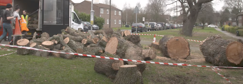 Tree Surgeon Tamworth