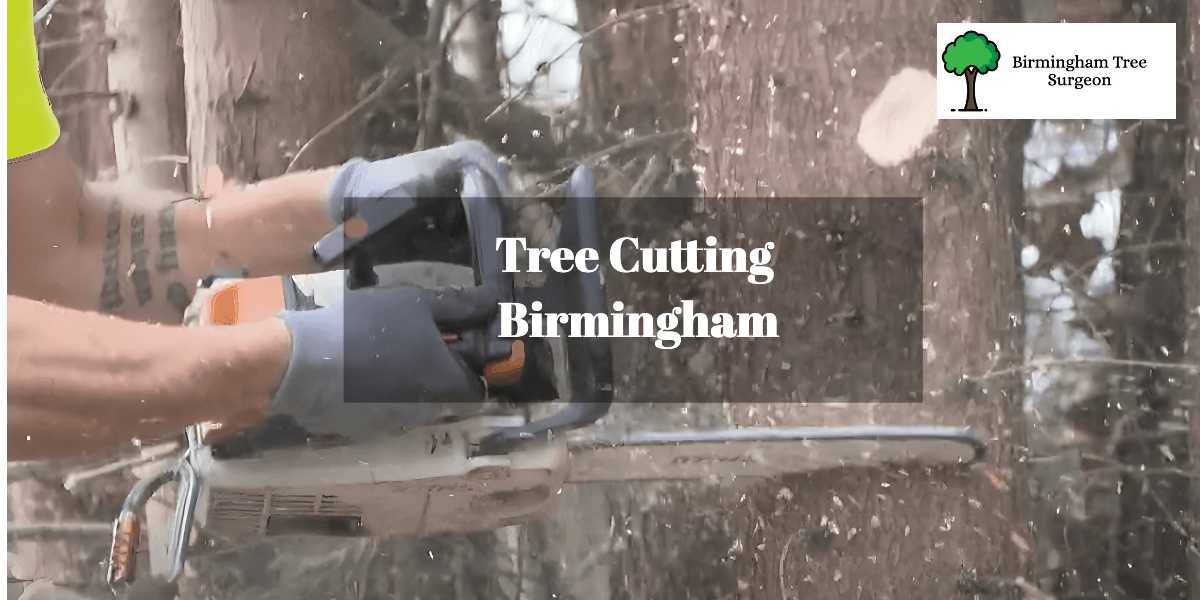 Tree Cutting Birmingham