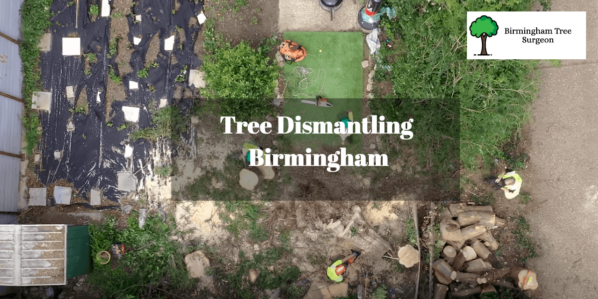 Tree Dismantling Birmingham