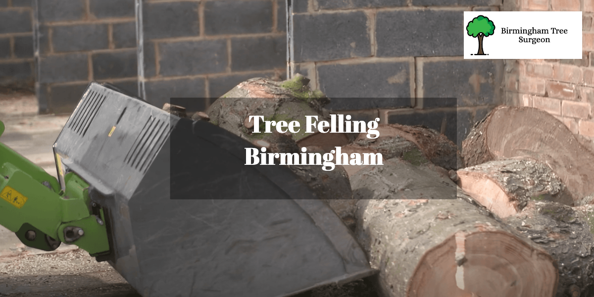 Tree Felling Birmingham