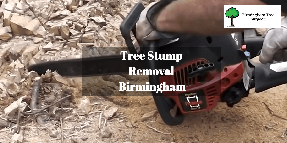 Tree Stump Removal Birmingham