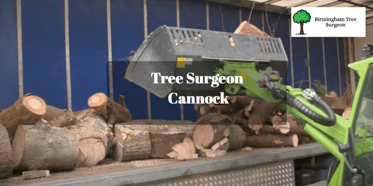 Tree Surgeon Cannock