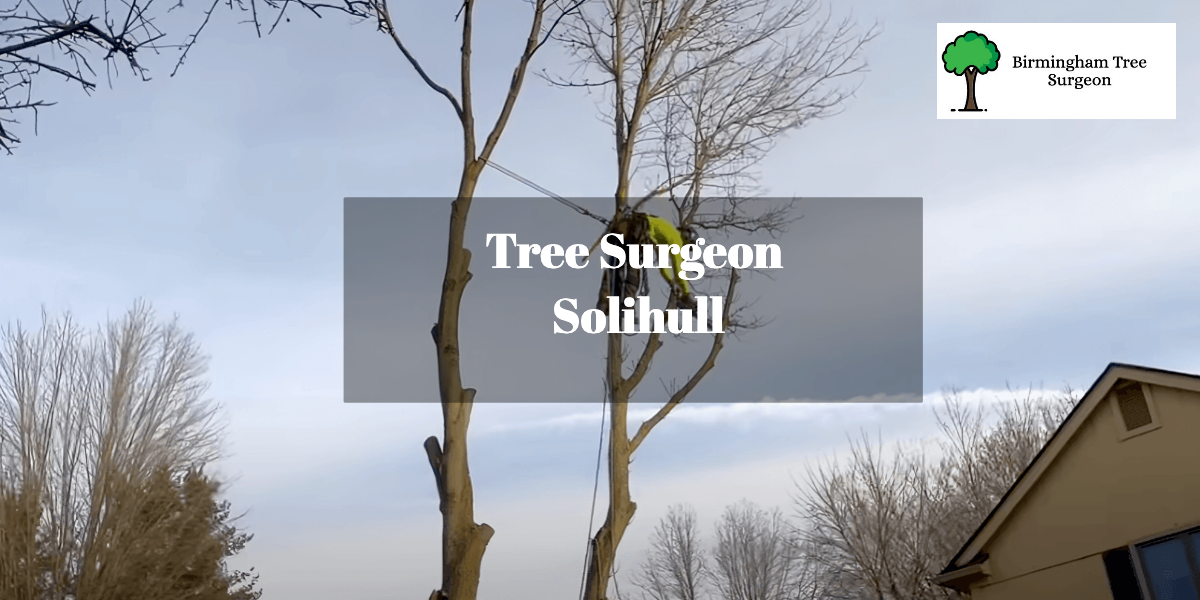 Tree Surgeon Solihull