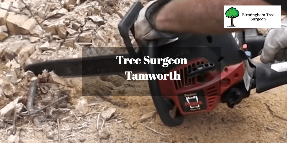 Tree Surgeon Tamworth