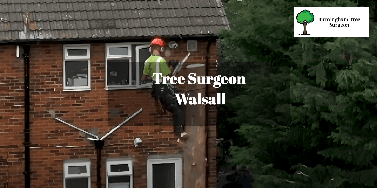 Tree Surgeon Walsall